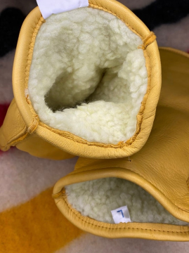 Licenses Montana State Cats Choppers