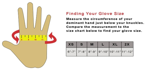 Licenses Montana State Cats Choppers