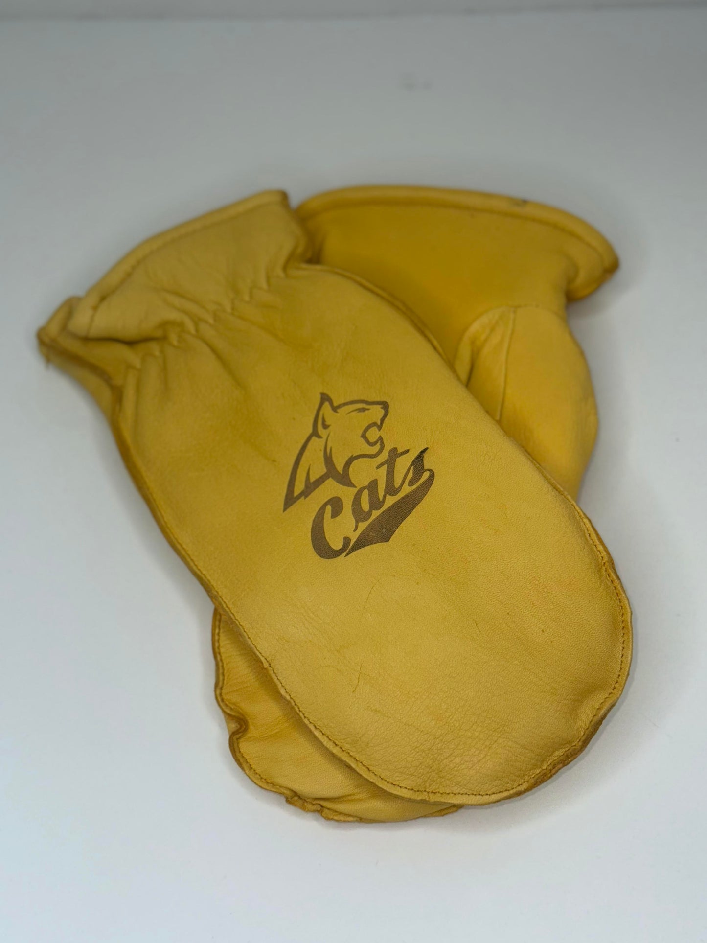 Licenses Montana State Cats Choppers